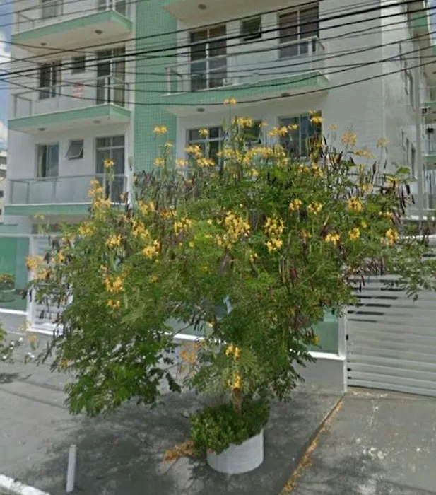 Cabo Frio Hely-1